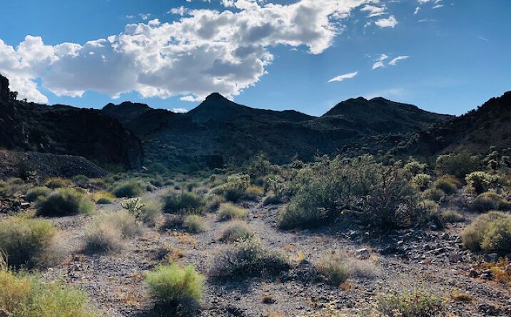 Pictures of Land property located at NV-165, Nelson, NV 89046 for sales - image #1