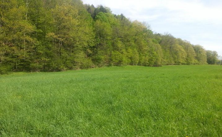 Cooperstown Ny Commercial Real Estate For Sale Crexi Com