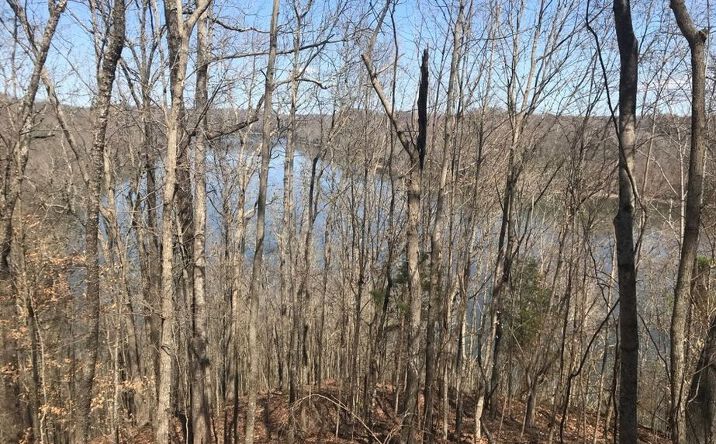 Pictures of Land property located at Marsh Rd, Smithville, TN 37166 for sales - image #1