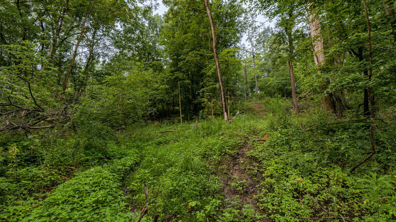 14192 Scotts Mill Rd, Rushville, IL 62681