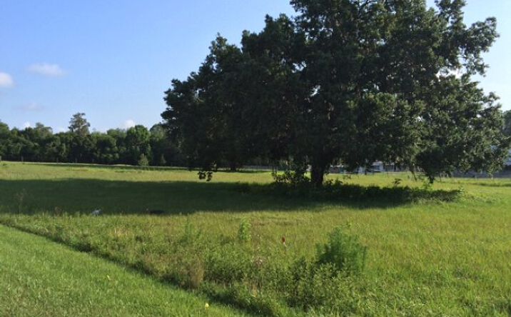 Pictures of Land property located at 4300 Block Kathleen Road - 3.06 Ac, Lakeland, FL 33805 for sales - image #1