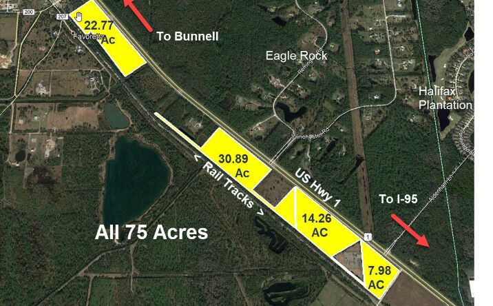 Pictures of Land property located at US 1 (22.77 AC) Highway, Bunnell, FL 32110 for sales - image #1