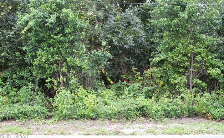 Pictures of Land property located at 510 Fred Gamble Way, Ormond Beach, FL 32174 for sales - image #1