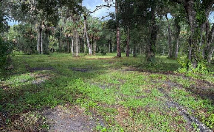 Pictures of Land, Industrial property located at Tionia Road, New Smyrna Beach, FL 32168 for sales - image #1