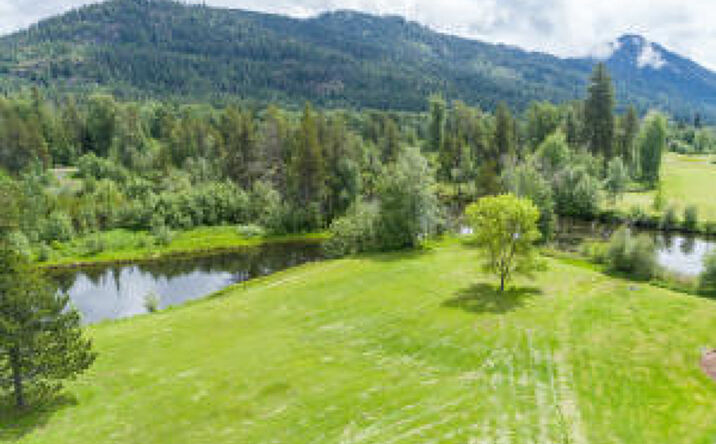 Pictures of Land property located at NNA Highway 200, Sandpoint, ID 83864 for comps - image #1