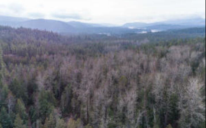 Pictures of Land property located at NNA Wapiti Dr, Sandpoint, ID 83864 for comps - image #1