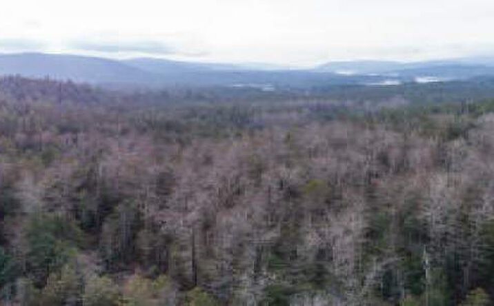 Pictures of Land property located at NNA Wapiti Dr, Sandpoint, ID 83864 for comps - image #1