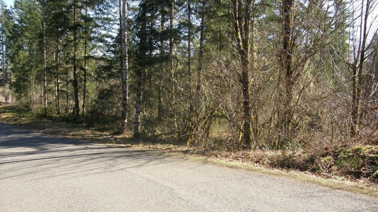 Lot 2 W Benthein Rd, Elma, WA 98541 Land for Sale Lot 2 W Benthein Rd