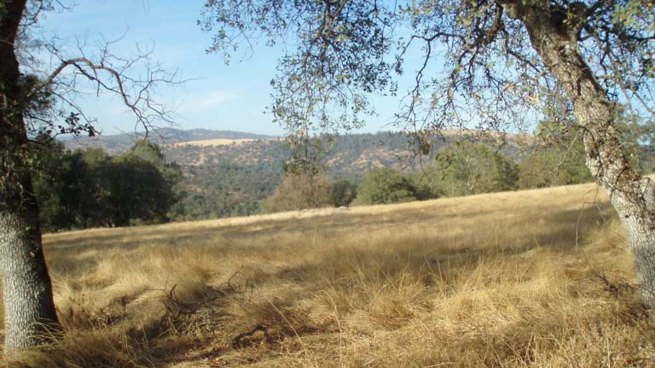 7780 Hwy 20, Smartsville, CA 95977