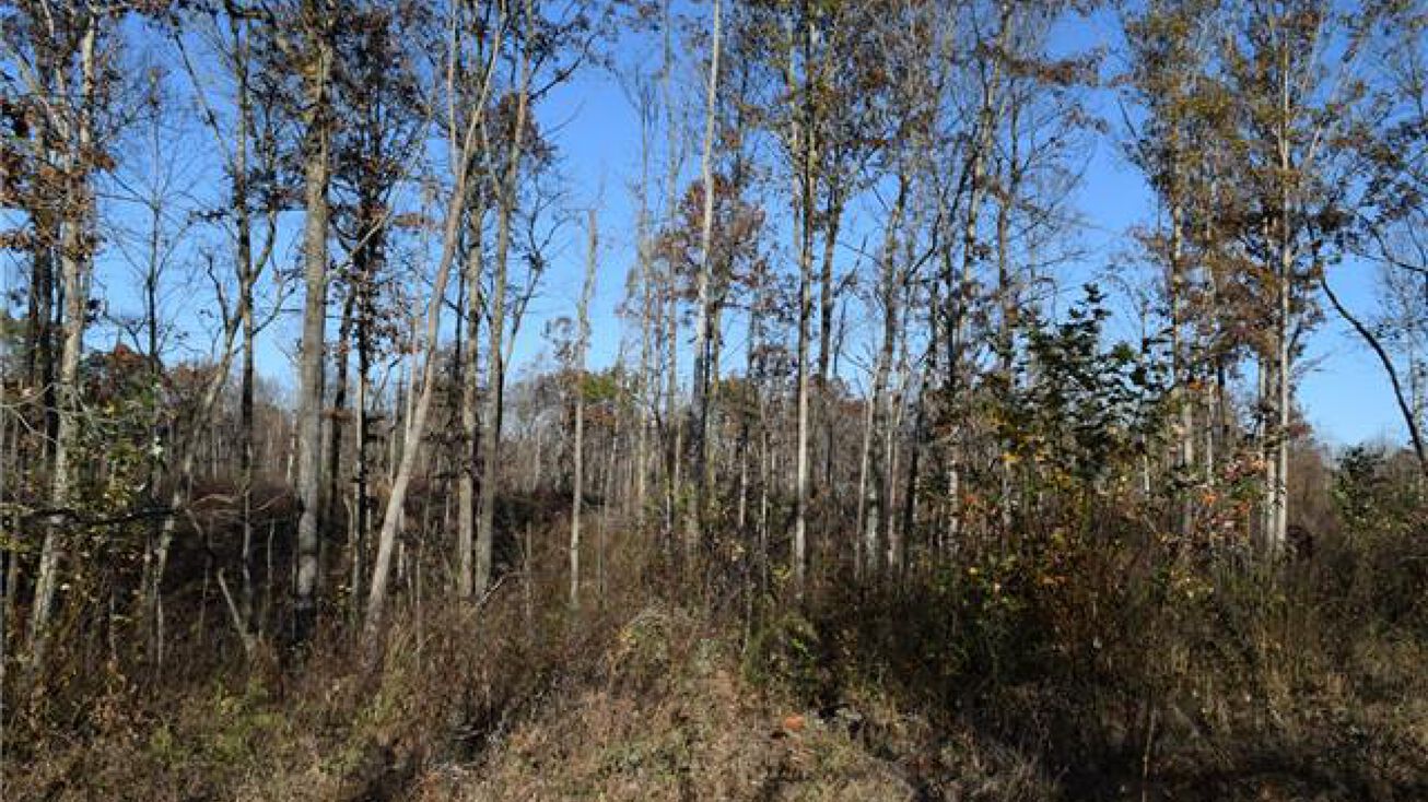 700 Frontier Road, Altamont, TN 37301 Land for Sale 700 Frontier Road