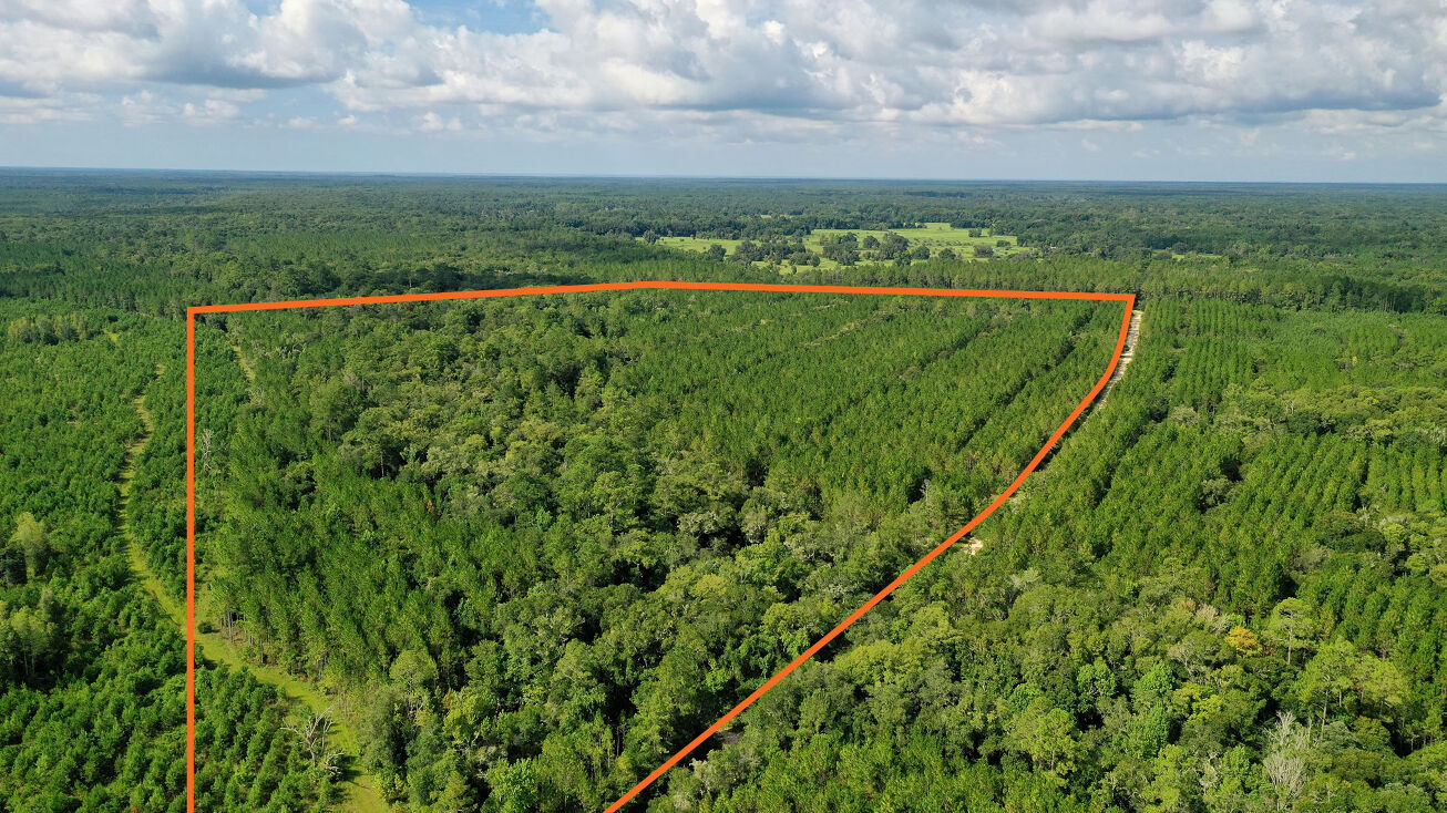 SW Meeks Grade, Bronson, FL 32621