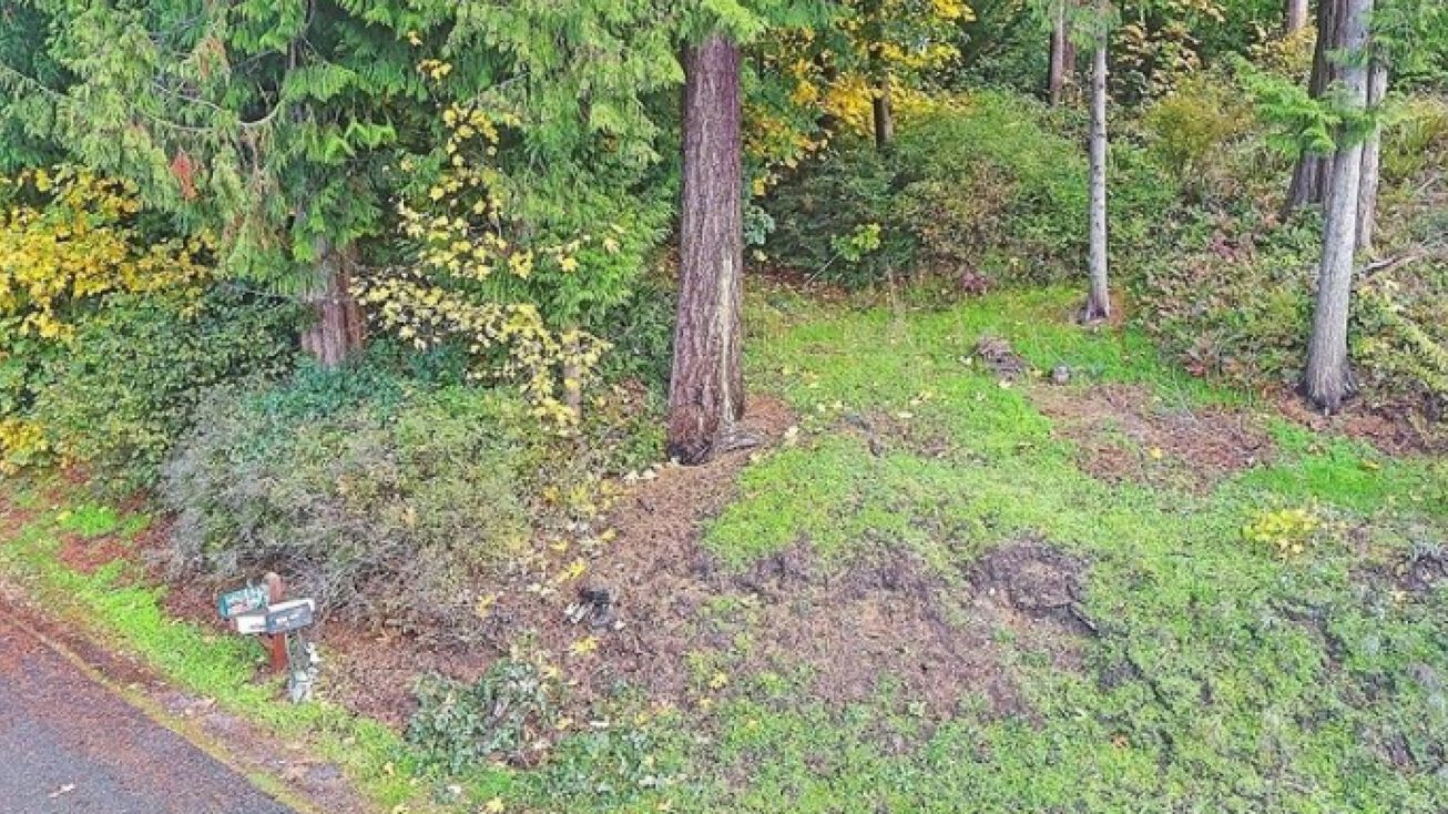 Lot 12 81st Ave, Stanwood, WA 98292 Land for Sale Lot 12 81st Ave