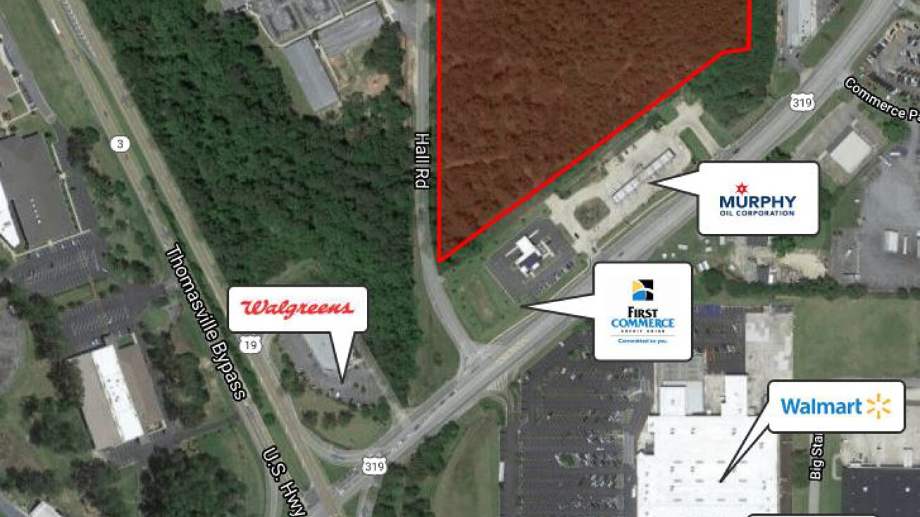 US HWY 319, Thomasville, GA 31757 Land for Sale 17.7 (+/) AC US