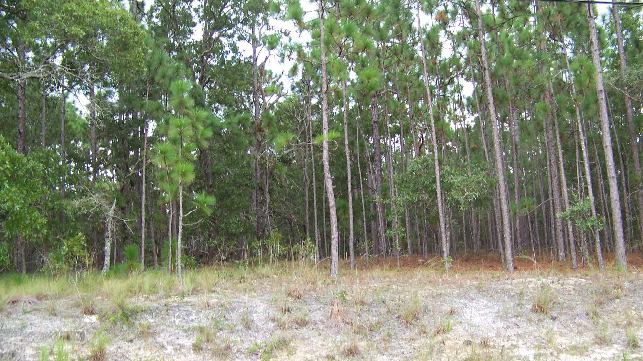 266 Raleigh Rd, Boiling Spring Lakes, NC 28461