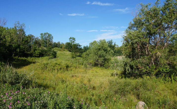 Pictures of Land property located at Timberlake & Brecksville Rd, Richfield, OH 44286 for sales - image #1