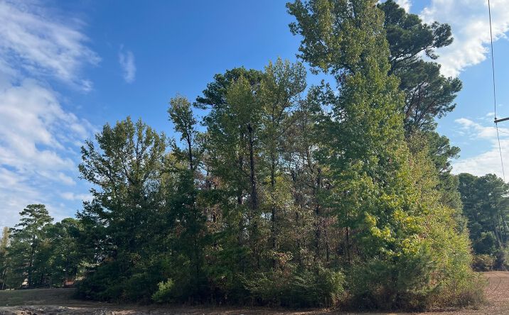 Pictures of Land property located at Lake Harbour Drive, Ridgeland, MS 39157 for sales - image #1