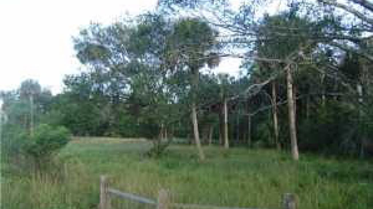 TBD Carlton Road, Port St. Lucie, FL 34987