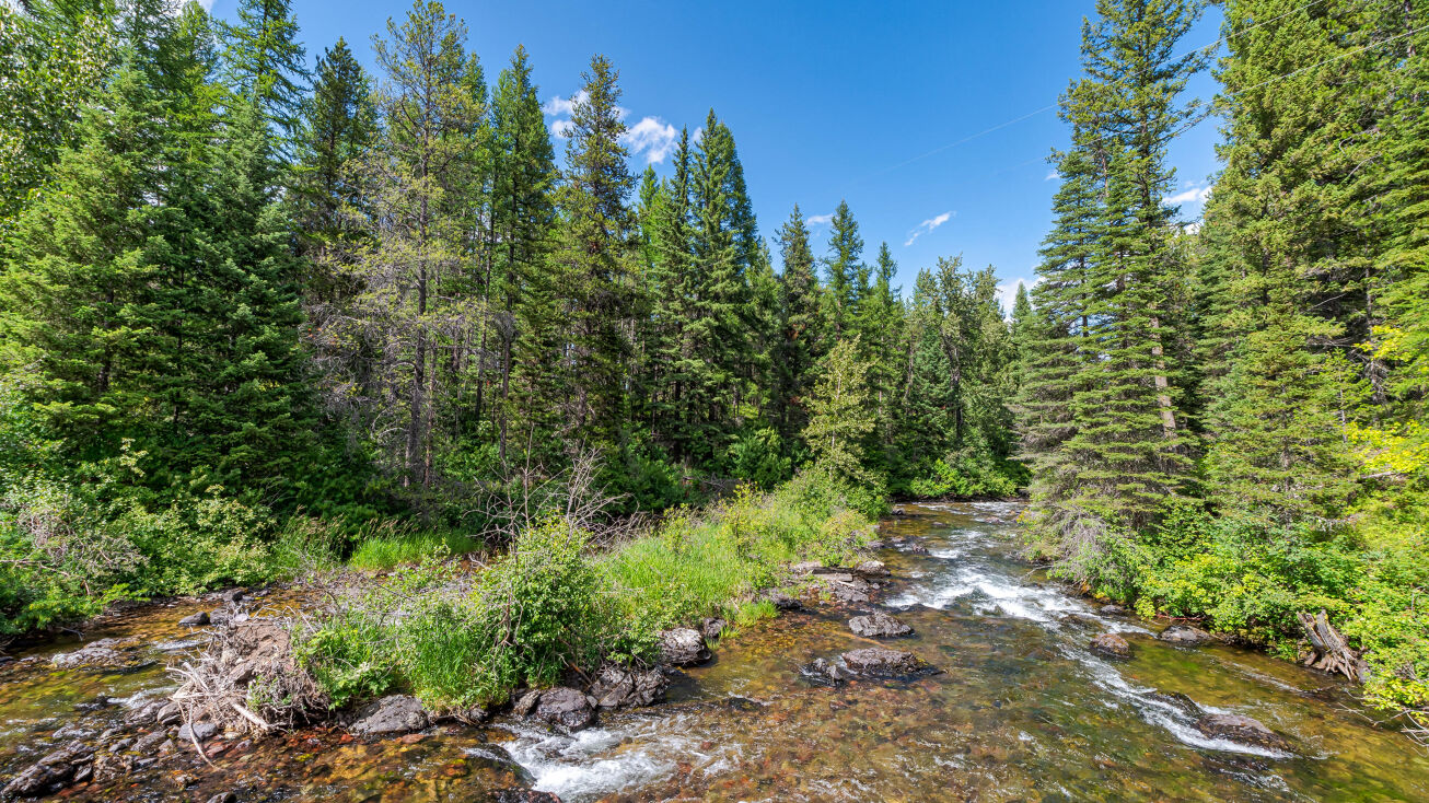 4735 Lindbergh Lake Road, Condon, MT 59826