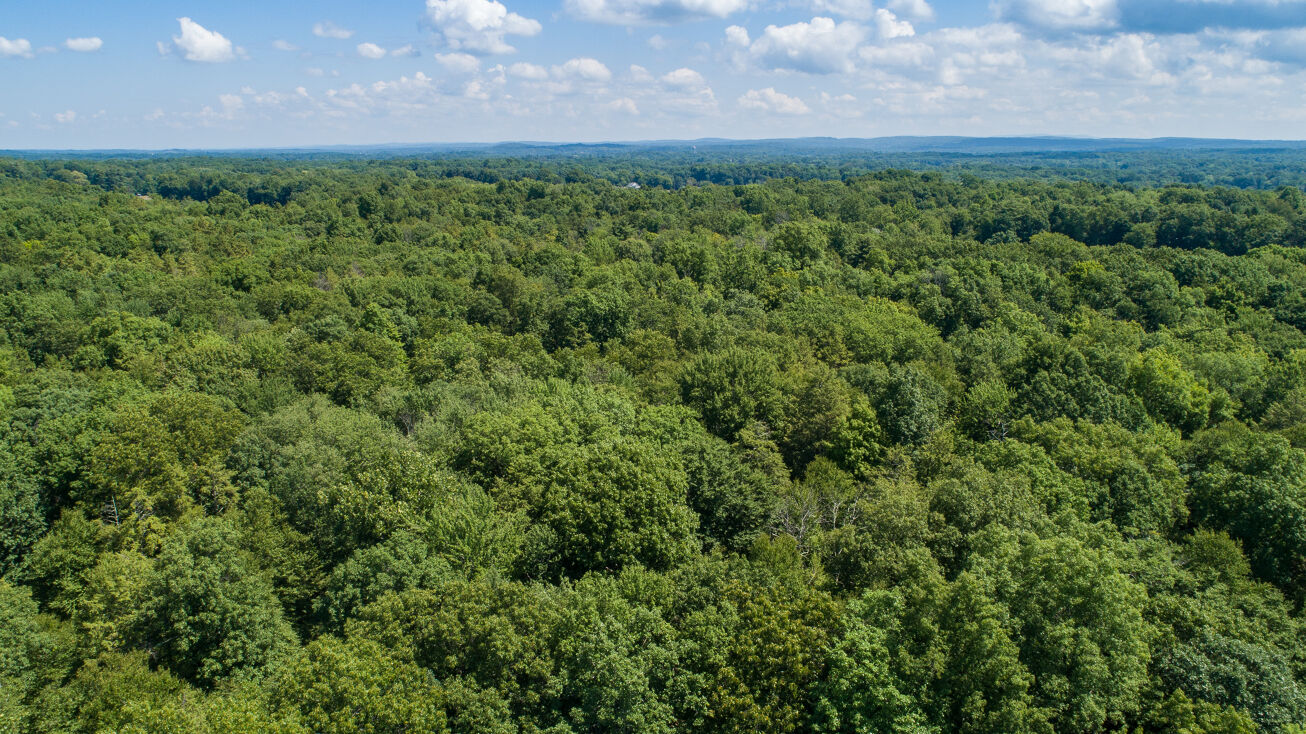 22 Grouse Run, Red Hook, NY 12571 Land for Sale 6 Acres Red Hook