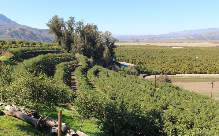 Santa Paula Ca Commercial Real Estate For Sale Crexi Com