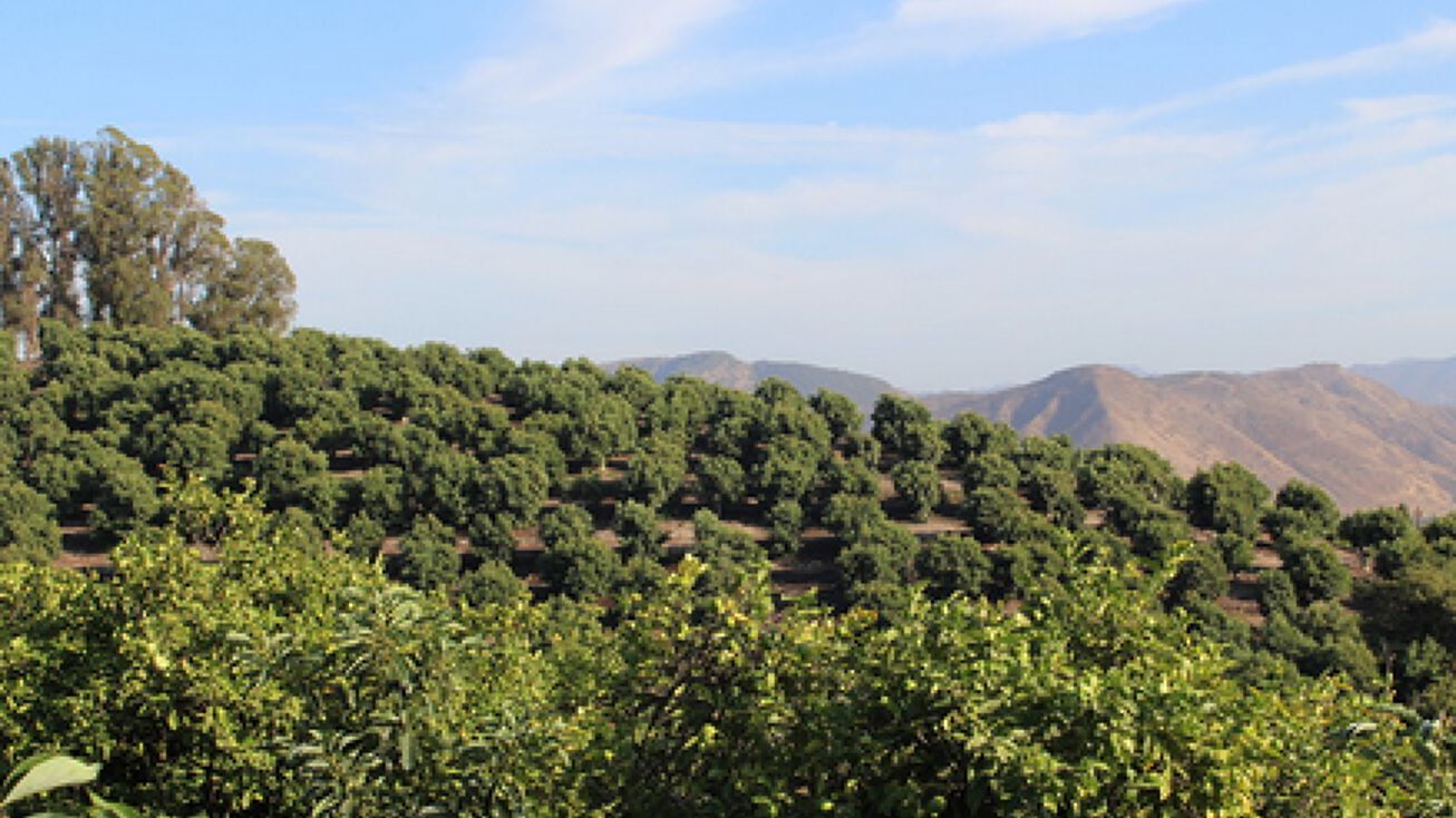 3011 Gerry Rd, Camarillo, CA 93012