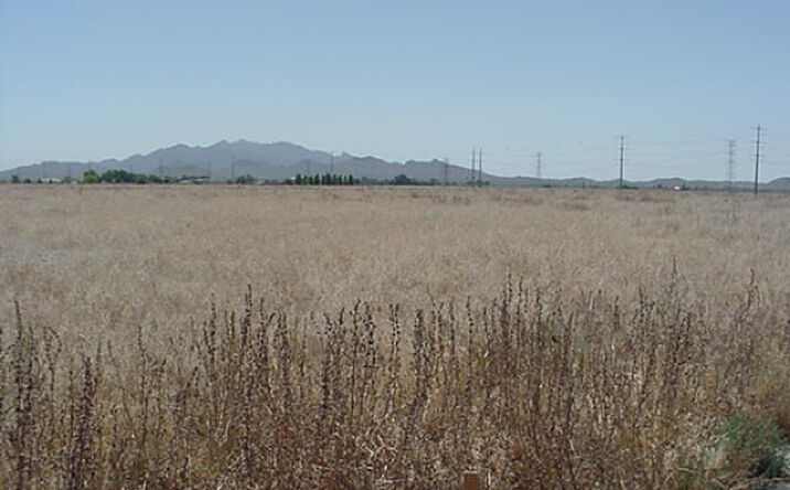 Pictures of Land property located at W Broadway Road & S Perryville Road, Goodyear, AZ 85338 for sales - image #1