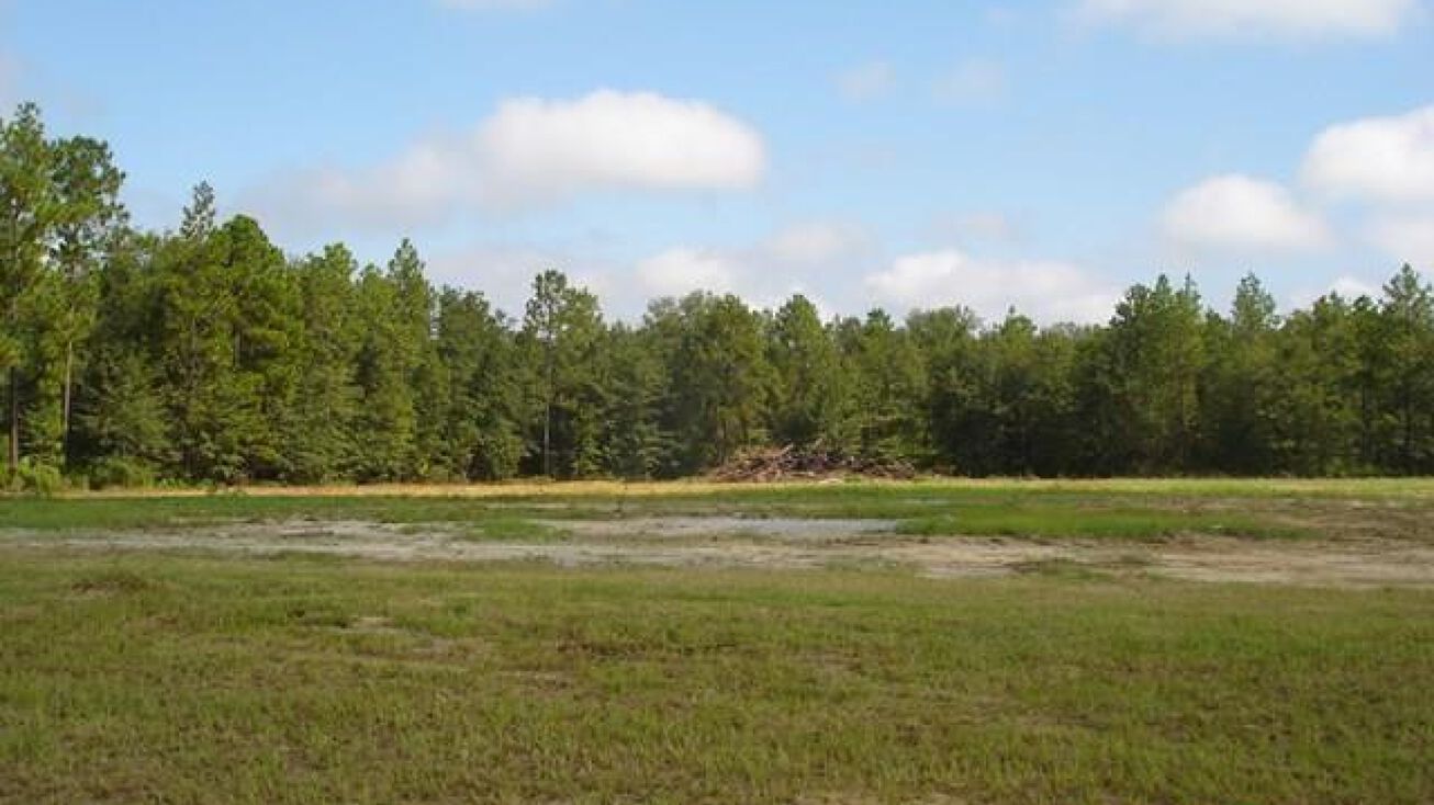 GA292, Vidalia, GA 30474