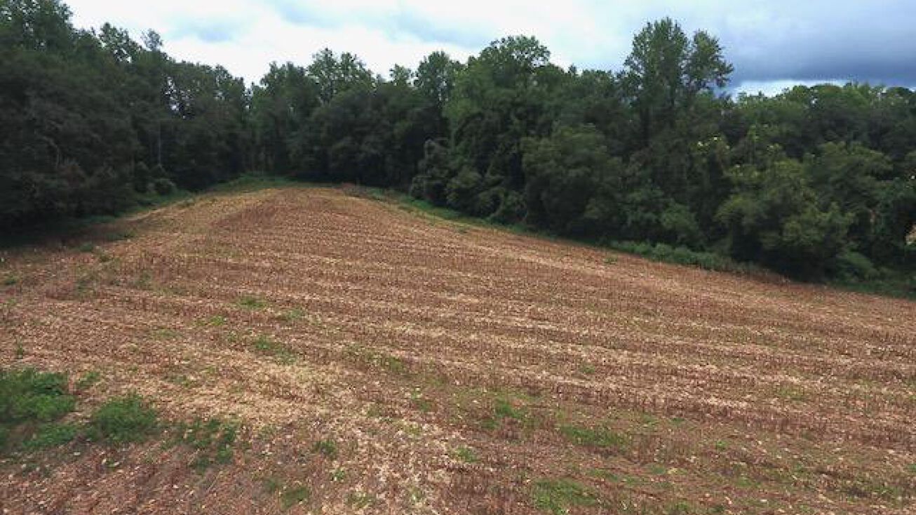 Blount Hall Rd, Grifton, NC 28530 Land for Sale Pitt County