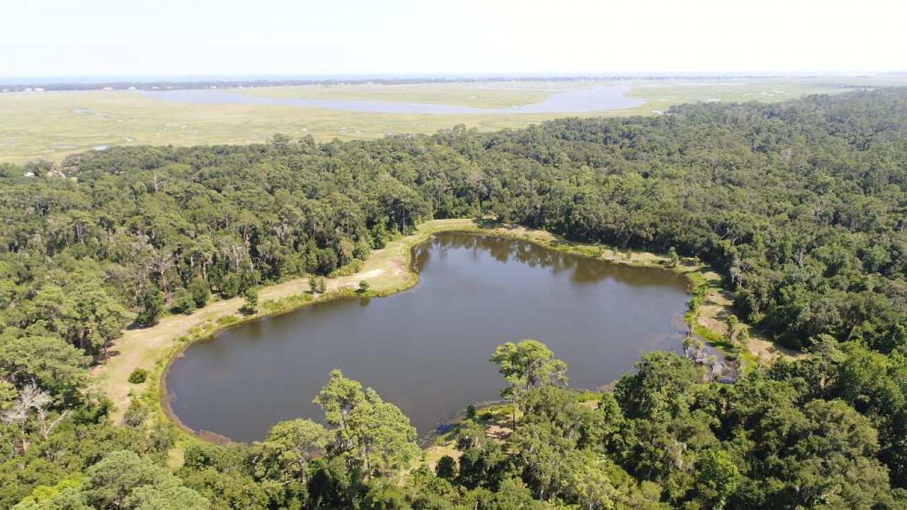 175 Sinclair Plantation Dr, St. Simons, GA 31522