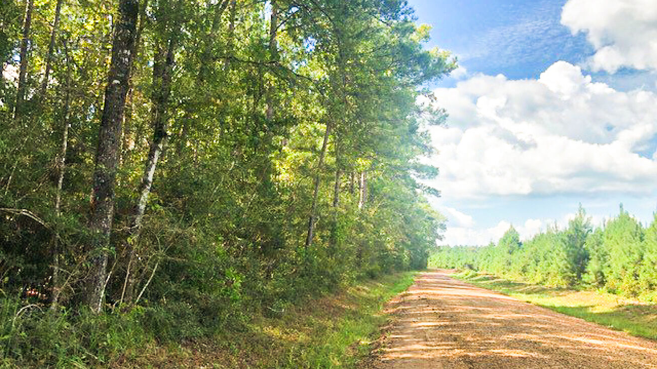 T3 Menard Chapel Rd., Livingston, TX 77351 Land for Sale 11 Acres