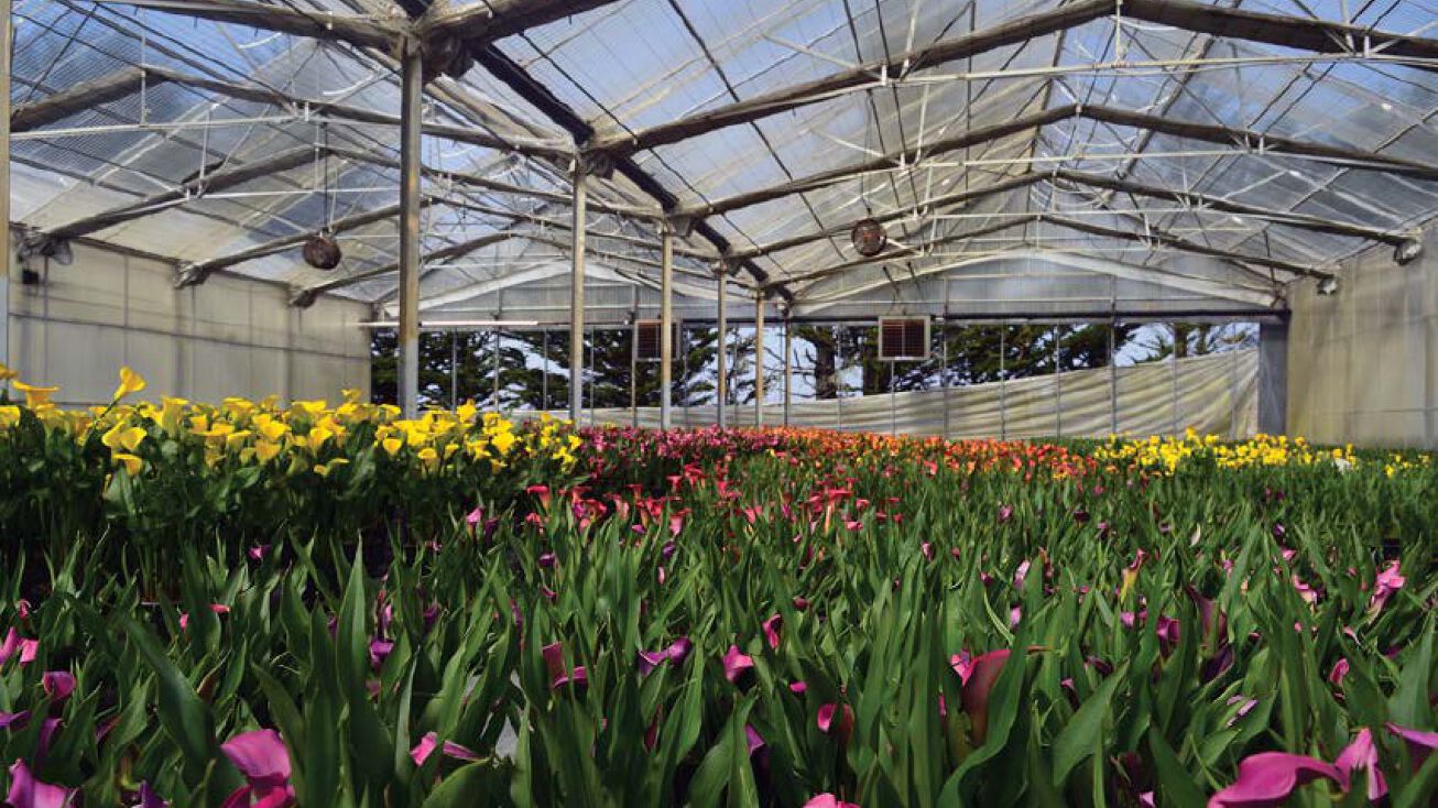 1000 Bean Hollow Road, Pescadero, CA 94060 Land for Sale 1000 Bean