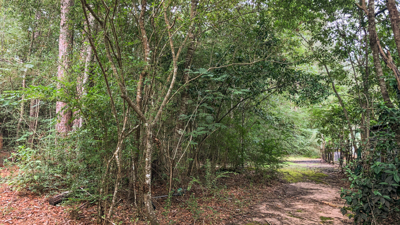 Pecan St, Kountze, TX 77625 Land for Sale 94 Acres Pecan Ave.