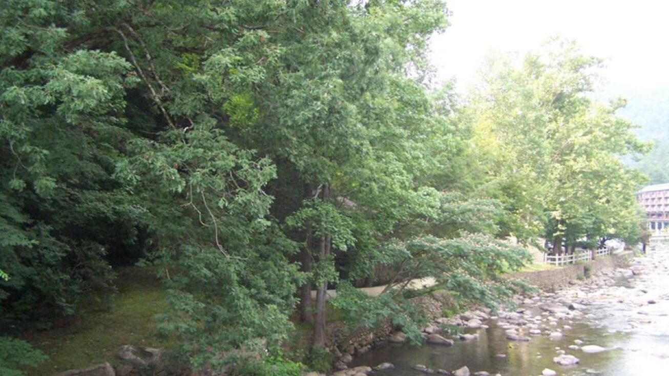304 Hemlock Street, Gatlinburg, TN 37738 Land for Sale Riverfront