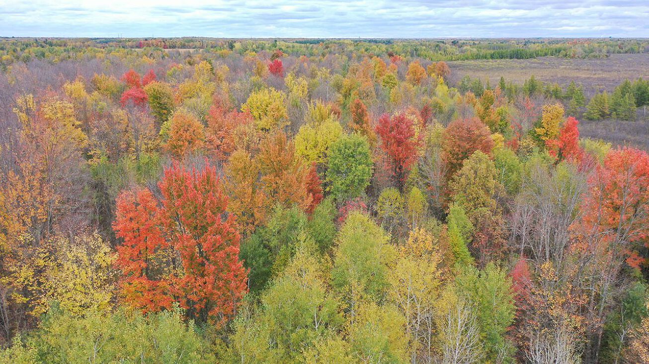 Hanson Rd, Ladysmith, WI 54848