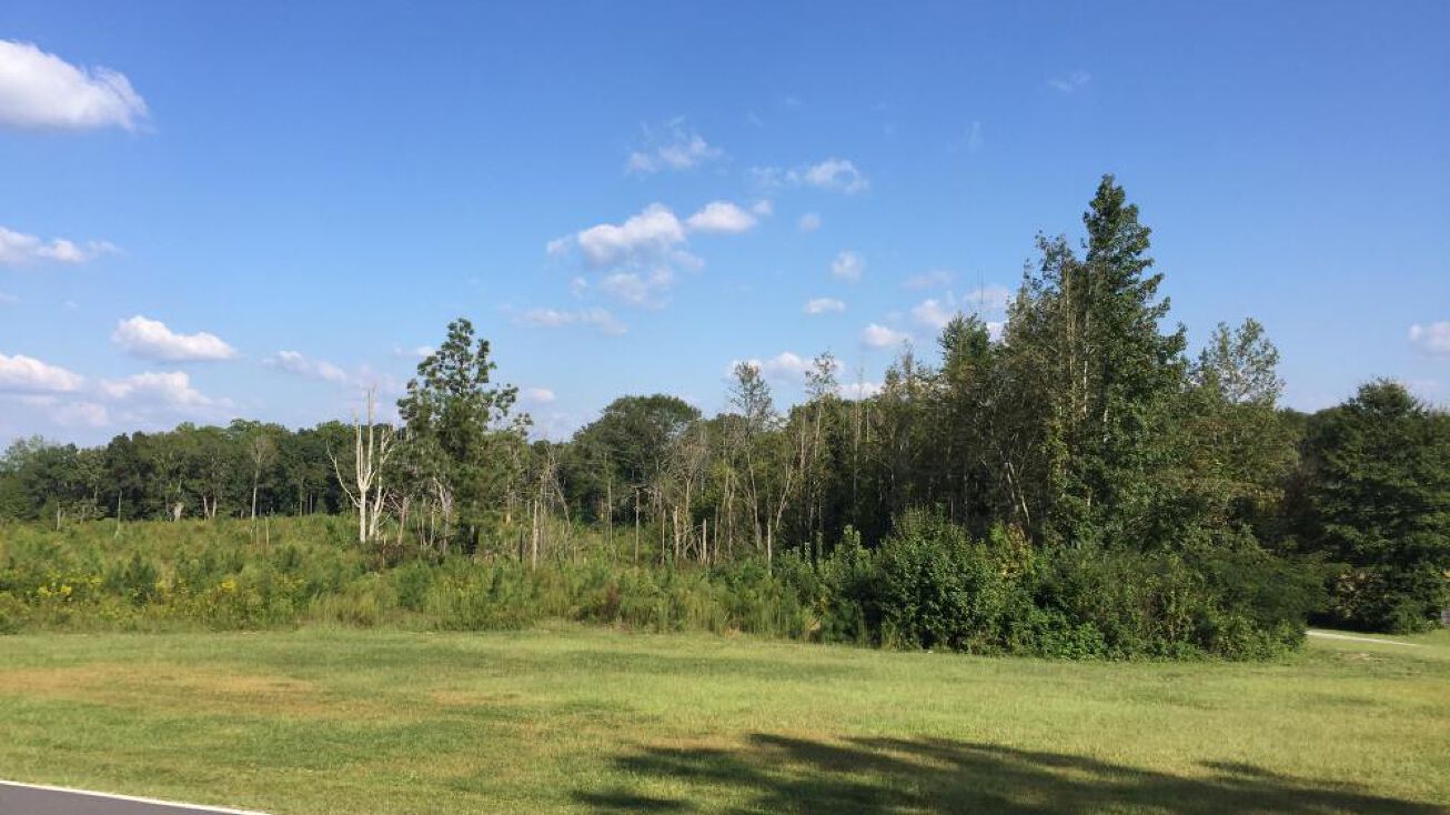 Rainey Rd, Temple, GA 30179