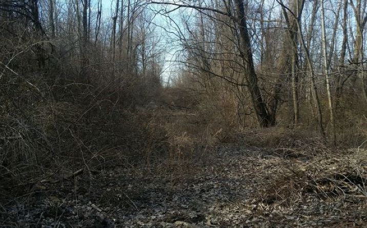 image of property at 98 PADANARAM RD Danbury CT 06811