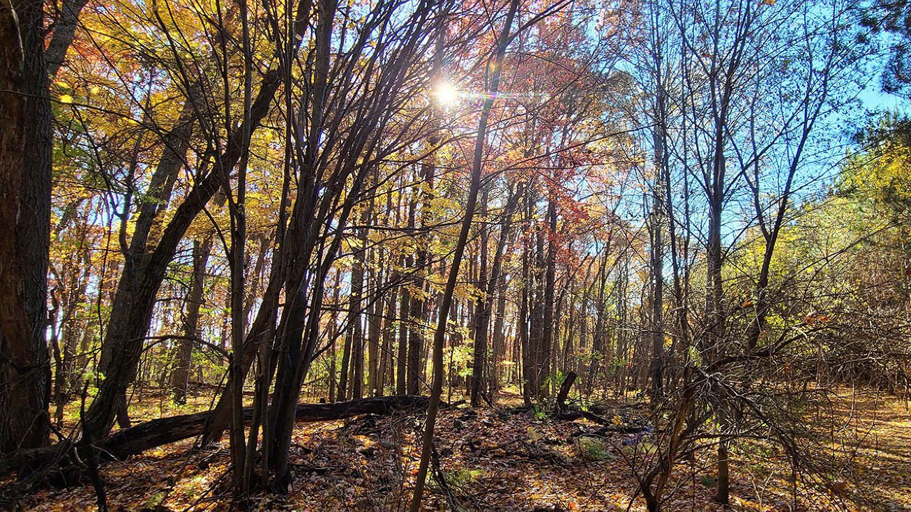 20th Ave, Colfax, WI 54730