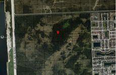 18425256