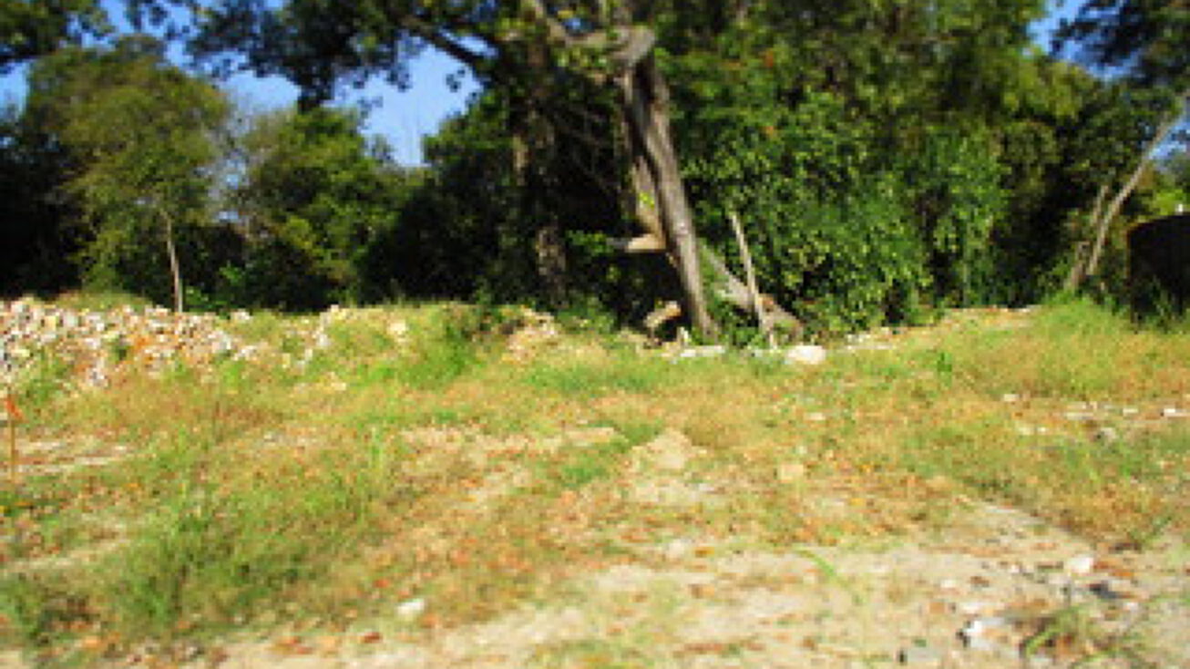 3703 Armor Dr, Dallas, TX 75216 Land for Sale 3703 Armor Drive