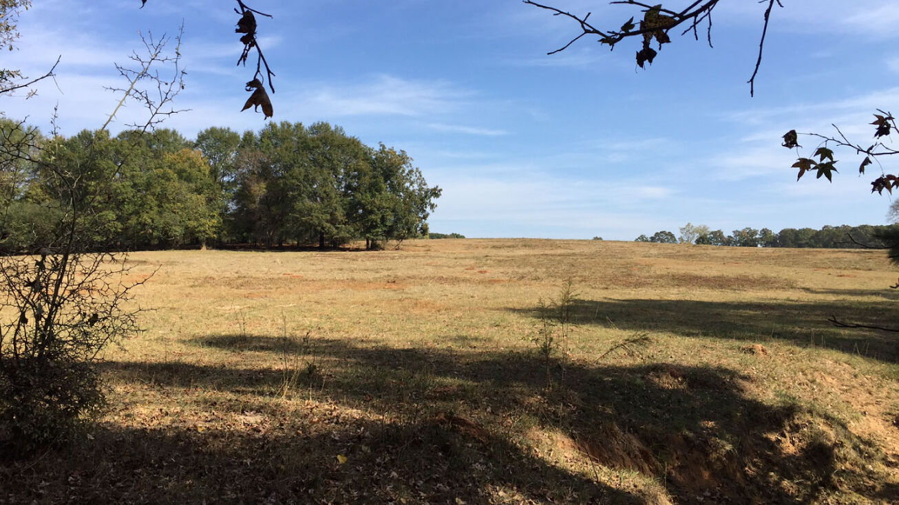 0 Dixie Road, Covington, GA 30014 Land for Sale ±327.04 Acres For