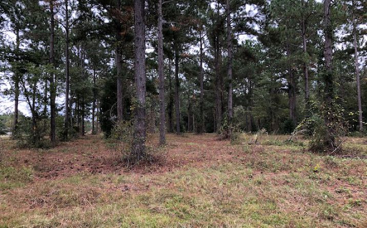 Pictures of Land property located at Wood Oak Cir, Cochran, GA 31014 for sales - image #1