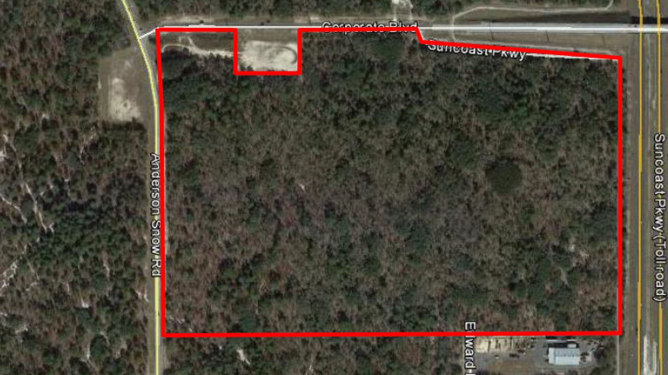 2220 Anderson Snow Rd, Spring Hill, FL 34609