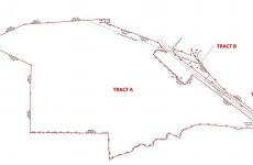 3606637