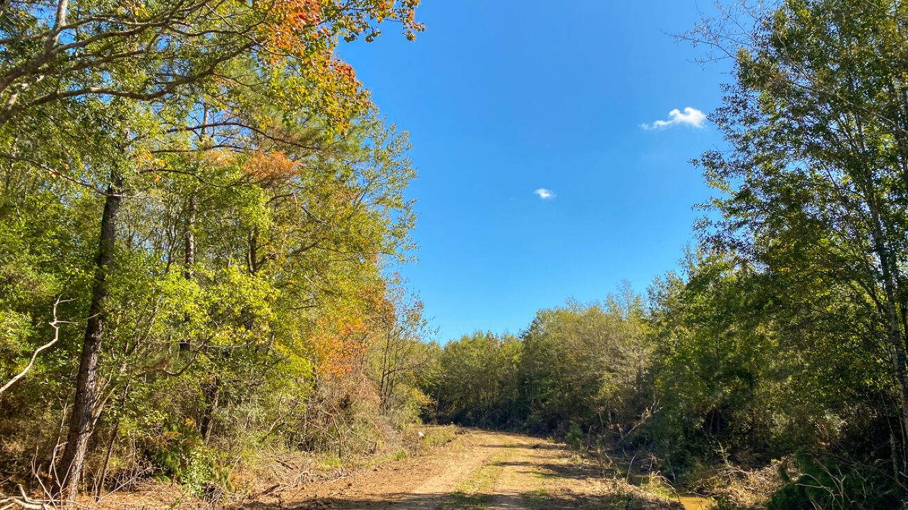 20 ac Gates Road, Devers, TX 77533 Land for Sale 20 Acres Devers