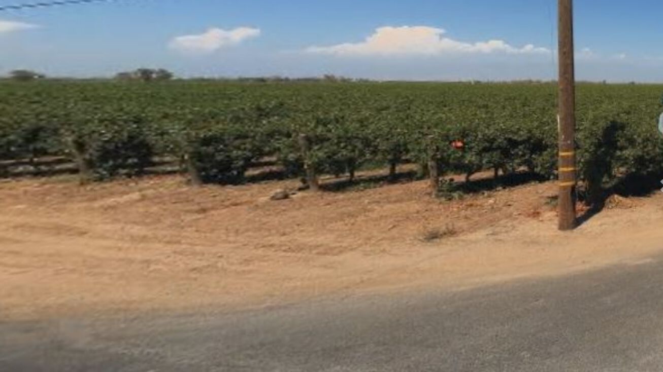 Avenue 64 & Road 136, Earlimart, CA 93219