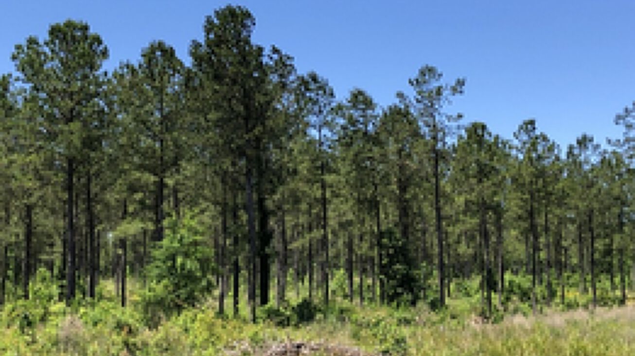 Middleton Road Tract, Braggs, AL 36761