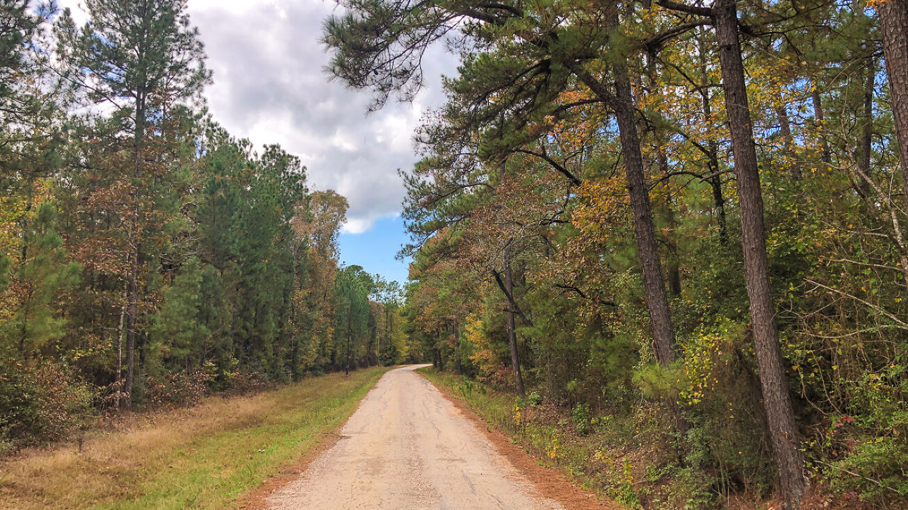 24 Ac Willow Springs Rd, Oakhurst, TX 77331