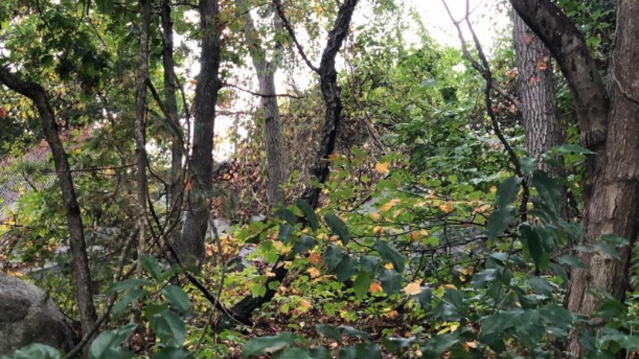 41 Spinale Road, Swampscott, MA 01907 Land for Sale 41 Spinale Road