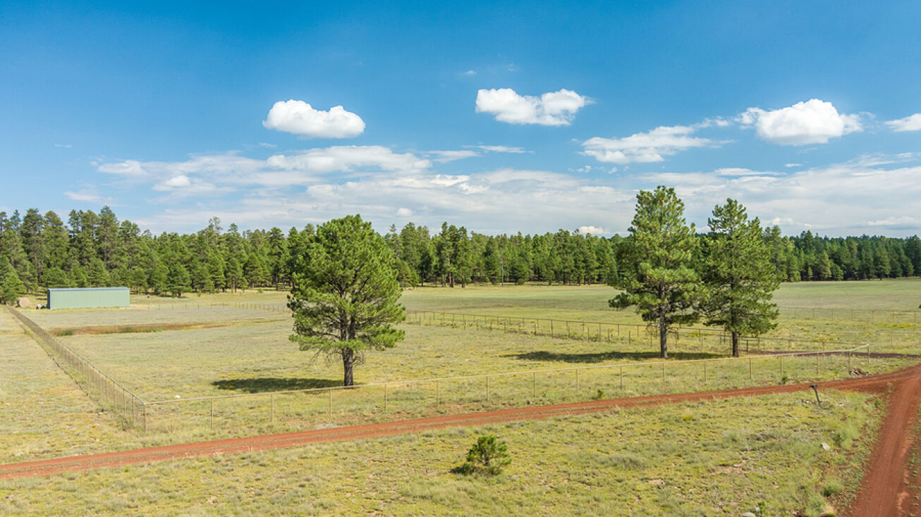 3137 Forest Service Rd 91C, Mormon Lake, AZ 86038