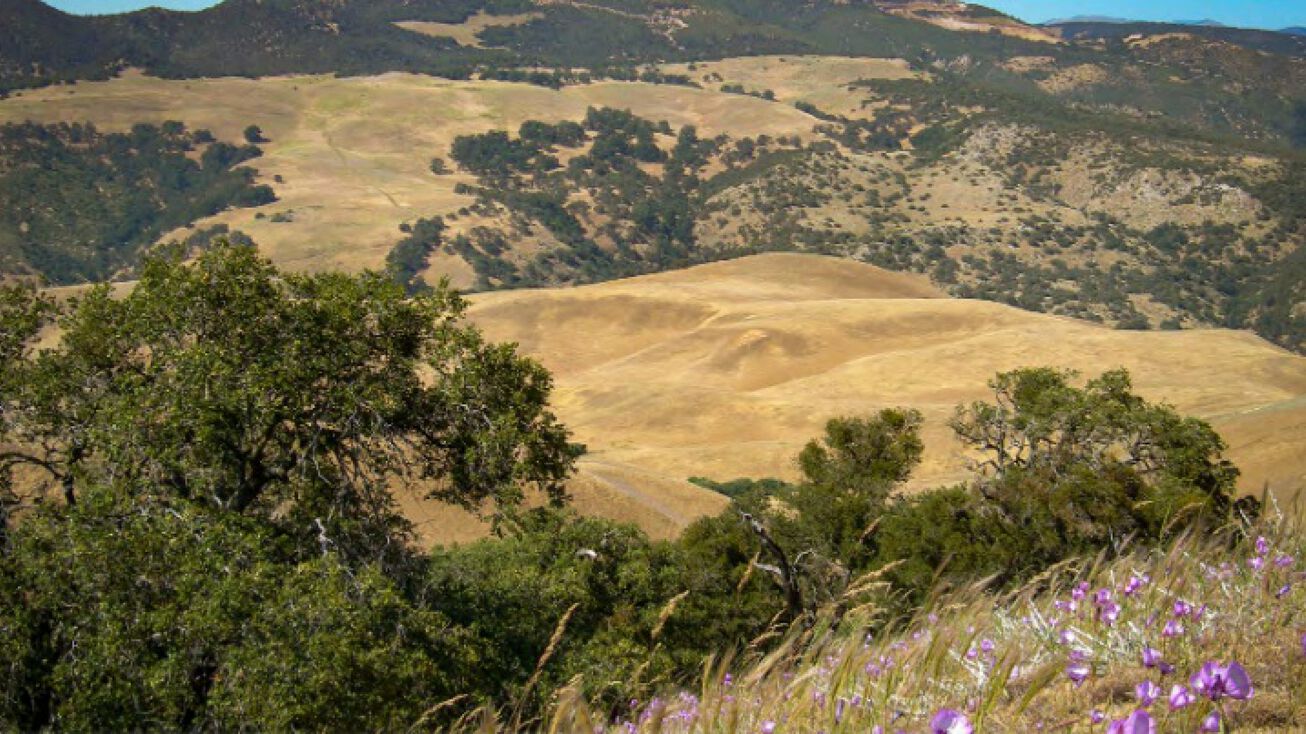 Gorman Post Rd, Gorman, CA 93243